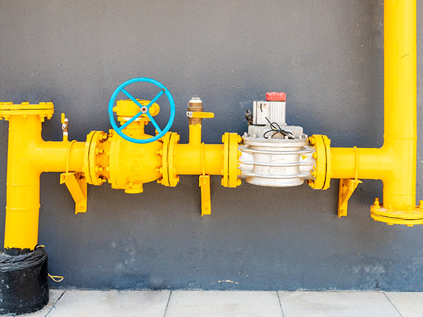 ��˹ά��˹9888��APP(�й�)�ٷ���վ