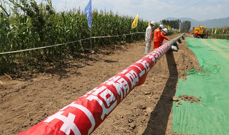 ��˹ά��˹9888��APP(�й�)�ٷ���վ